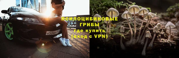 гашик Нефтекумск