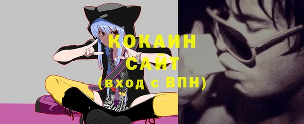 гашик Нефтекумск