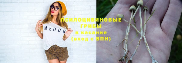 гашик Нефтекумск