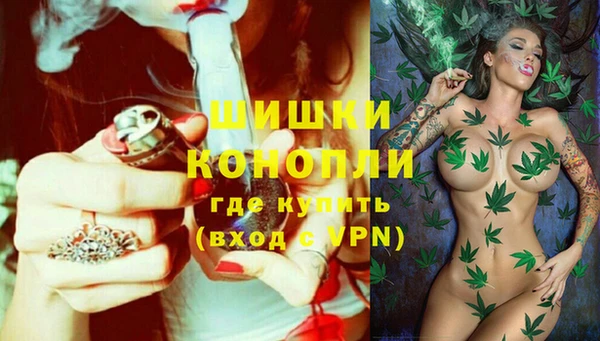 дживик Нея