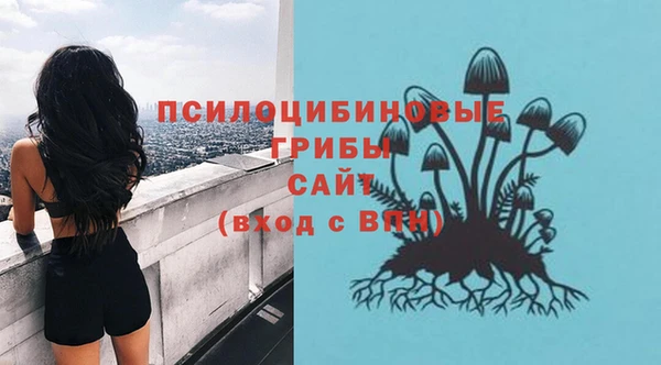 гашик Нефтекумск