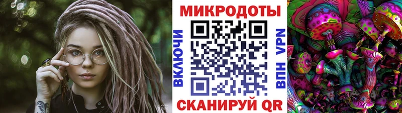 Галлюциногенные грибы Psilocybine cubensis  Купить где  Ковылкино 